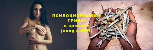 синтетический гашиш Касимов