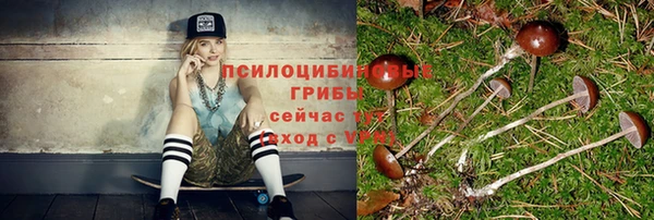 синтетический гашиш Касимов